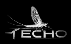 Echo